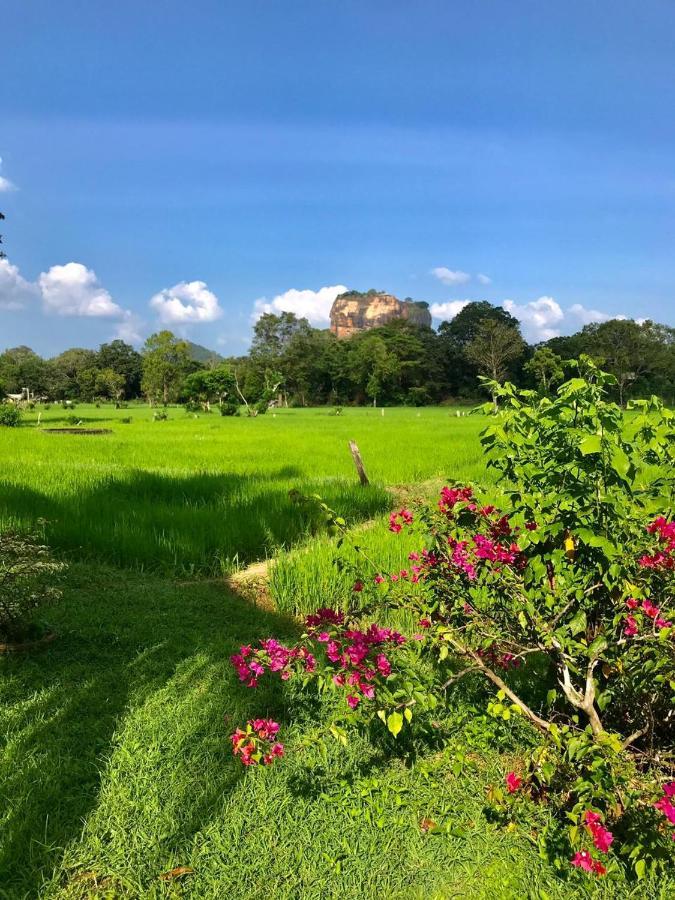 Castle View Sigiriya Hotel Esterno foto